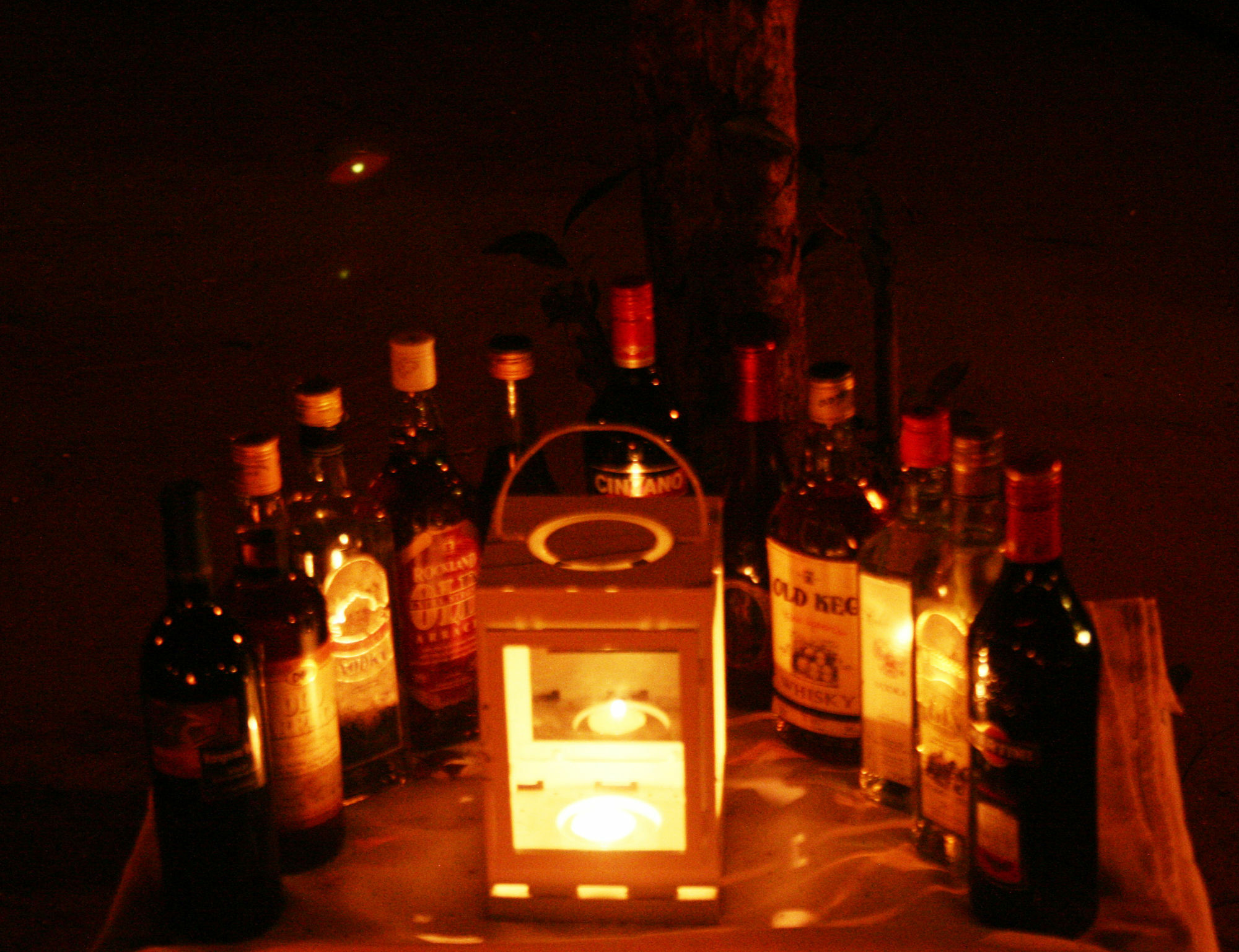 Mahoora Tented Safari Camp 达瓦拉维 外观 照片