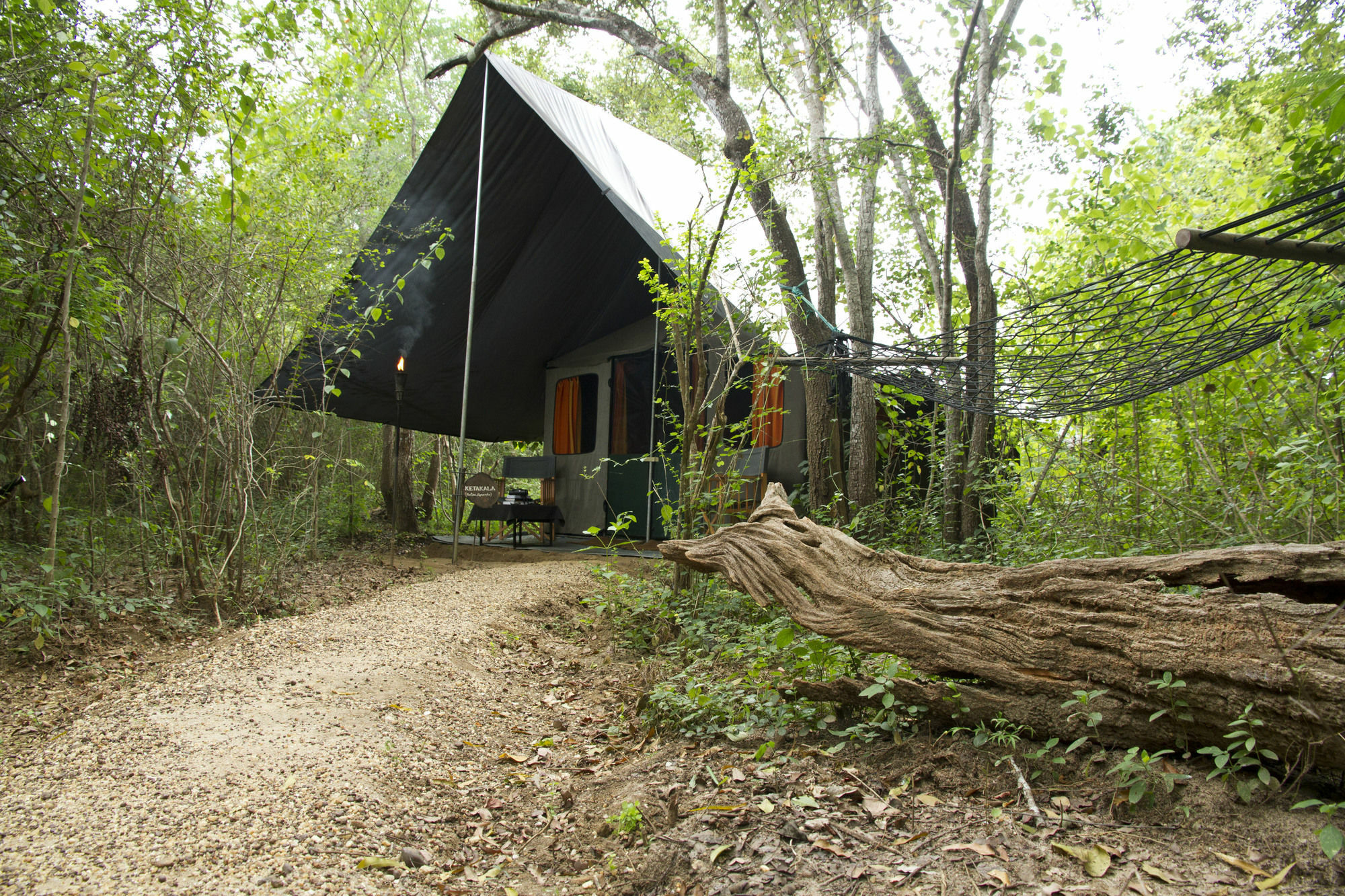 Mahoora Tented Safari Camp 达瓦拉维 外观 照片