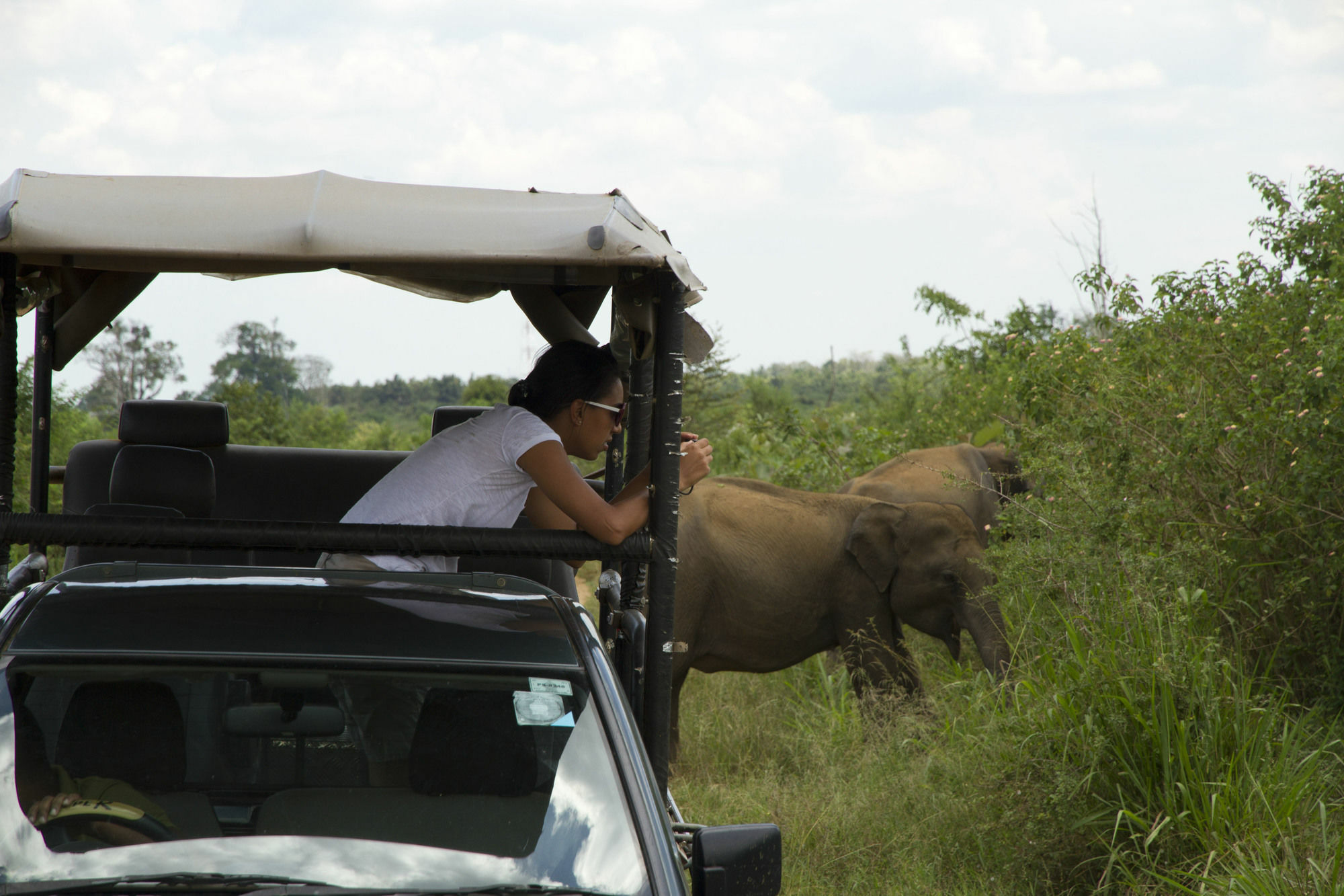 Mahoora Tented Safari Camp 达瓦拉维 外观 照片