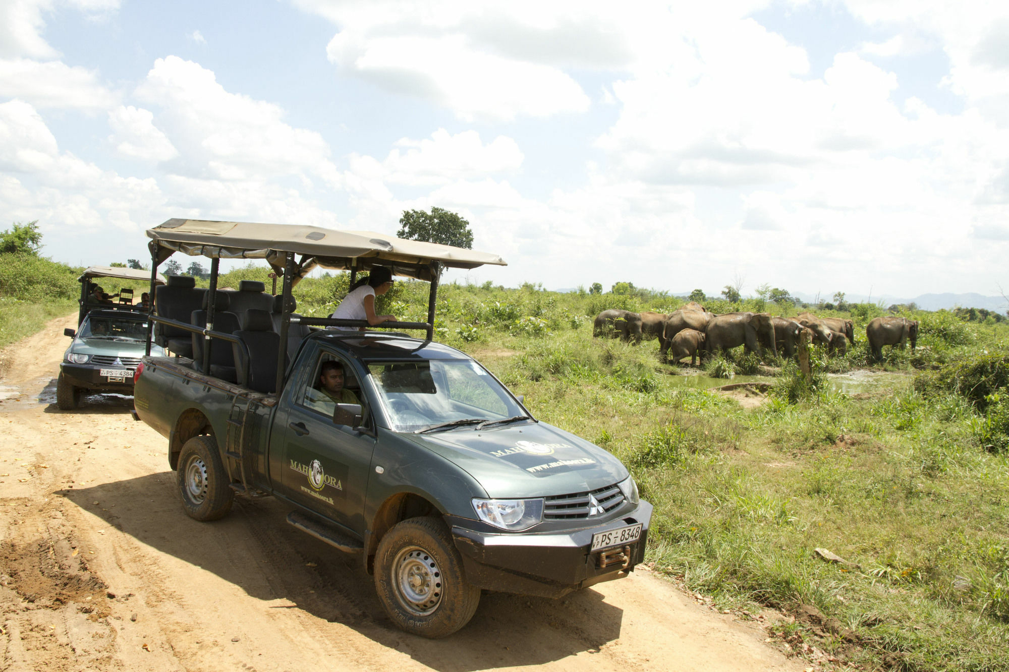 Mahoora Tented Safari Camp 达瓦拉维 外观 照片